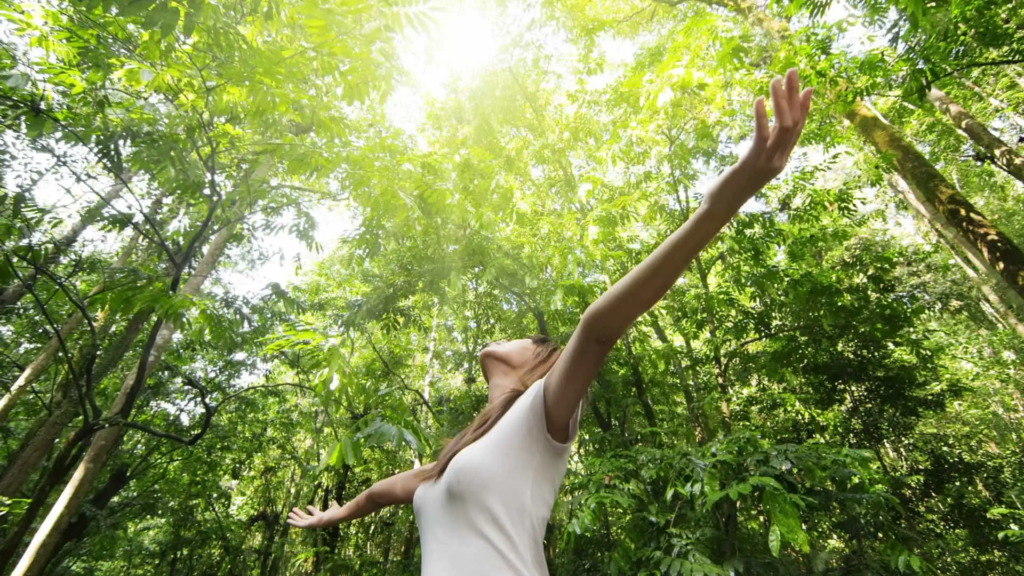 Contato com a natureza ajuda a aliviar a ansiedade